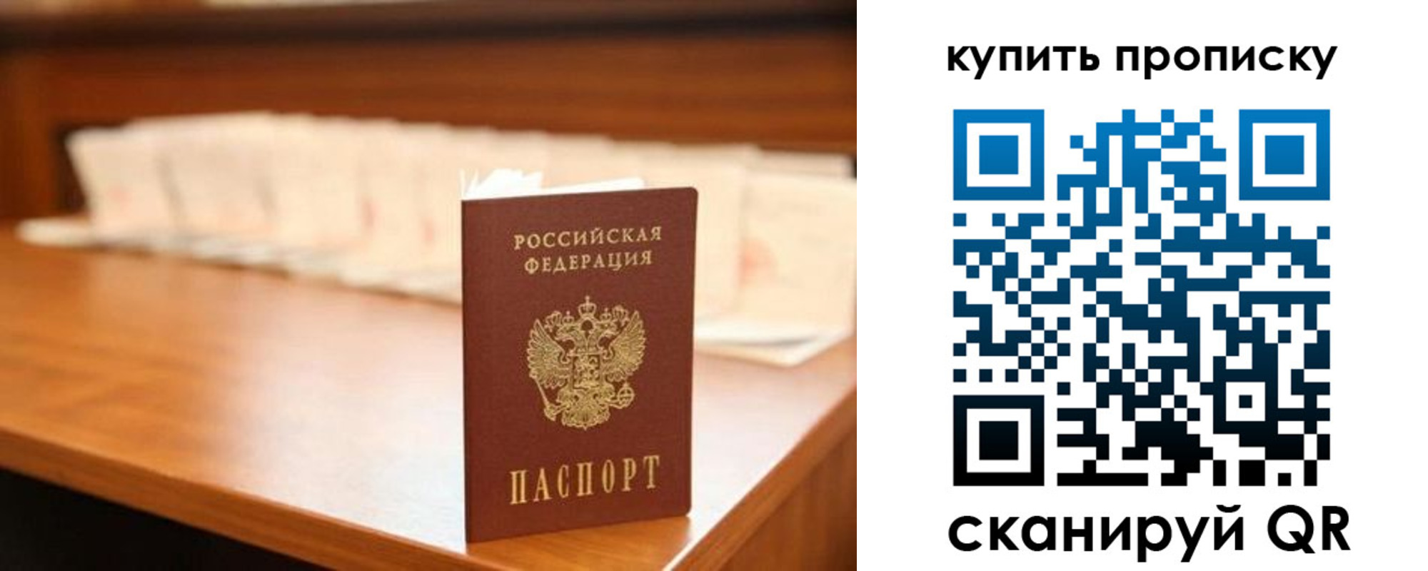 прописка 2025 в Луге